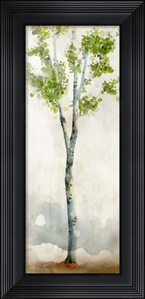 Framed Watercolor Birch Trees I Print