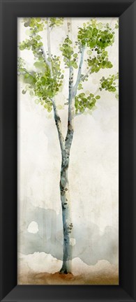 Framed Watercolor Birch Trees I Print