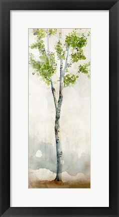 Framed Watercolor Birch Trees I Print