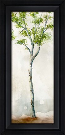 Framed Watercolor Birch Trees II Print