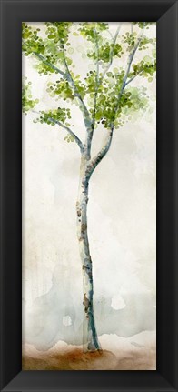 Framed Watercolor Birch Trees II Print