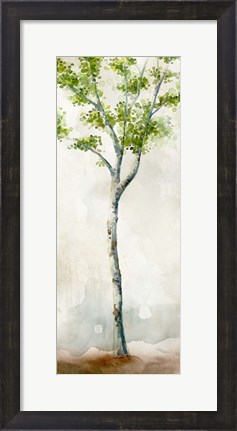 Framed Watercolor Birch Trees II Print