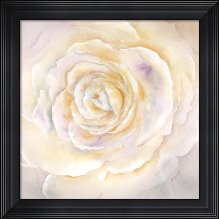 Framed Watercolor Rose Closeup I Print