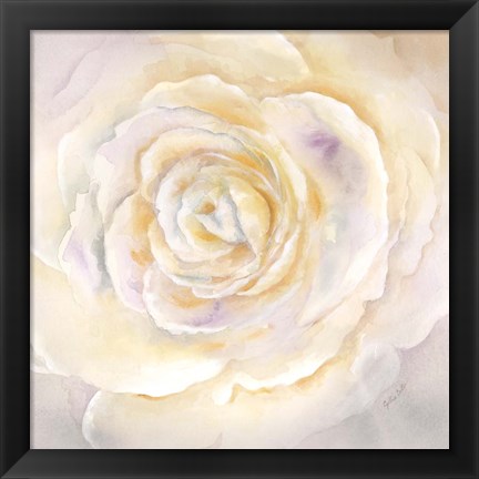 Framed Watercolor Rose Closeup I Print