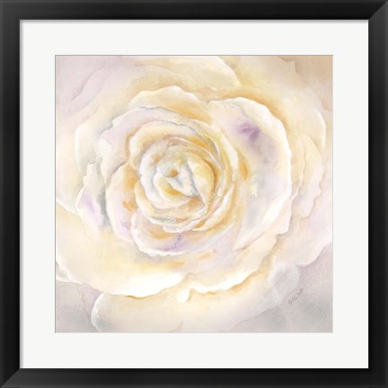 Framed Watercolor Rose Closeup I Print