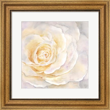 Framed Watercolor Rose Closeup II Print