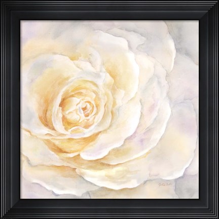 Framed Watercolor Rose Closeup II Print