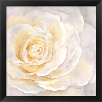Framed Watercolor Rose Closeup II Print