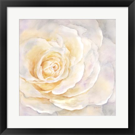 Framed Watercolor Rose Closeup II Print