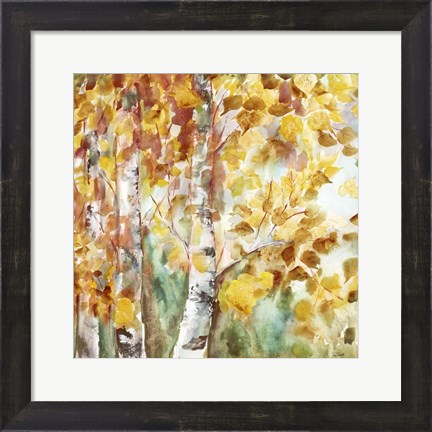 Framed Watercolor Fall Aspens Square Print