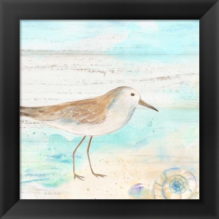 Framed Sandpiper Beach III Print