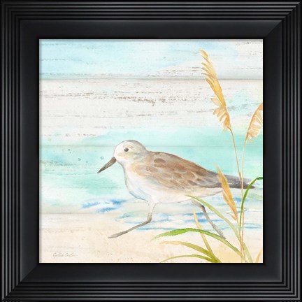 Framed Sandpiper Beach IV Print