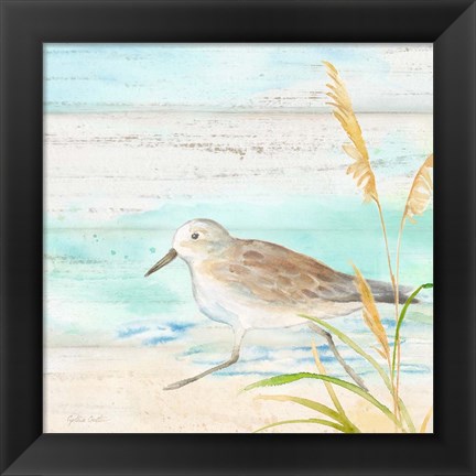 Framed Sandpiper Beach IV Print