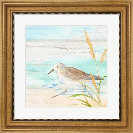 Framed Sandpiper Beach IV Print