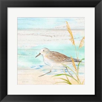 Framed Sandpiper Beach IV Print