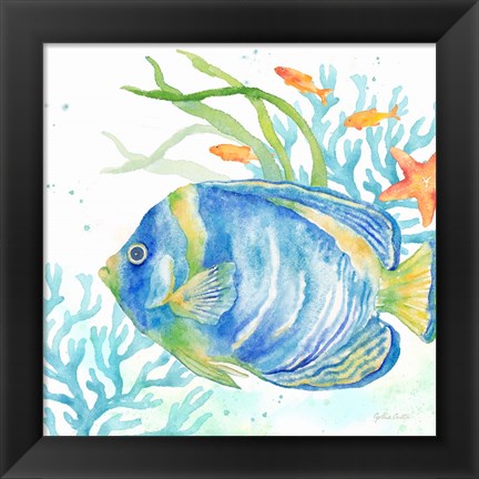 Framed Sea Life Serenade I Print