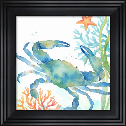 Framed Sea Life Serenade II Print