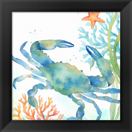 Framed Sea Life Serenade II Print