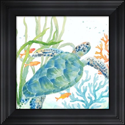 Framed Sea Life Serenade IV Print