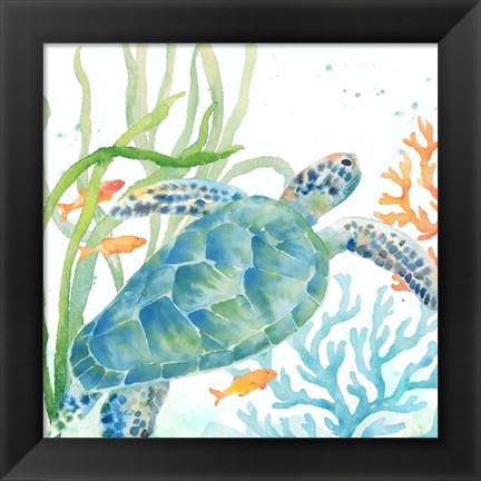 Framed Sea Life Serenade IV Print