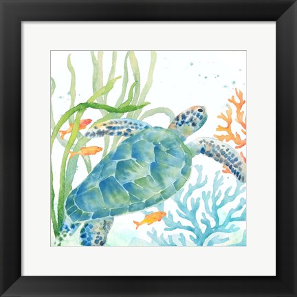 Framed Sea Life Serenade IV Print