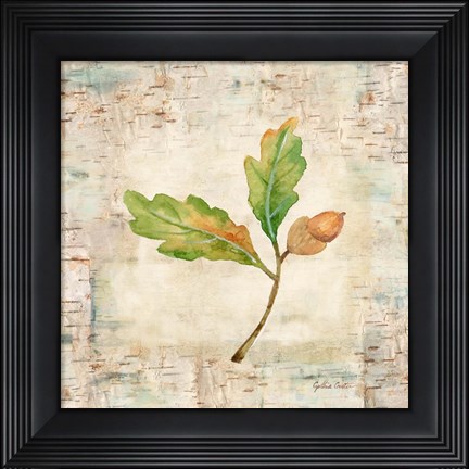 Framed Nature Walk Leaves II Print