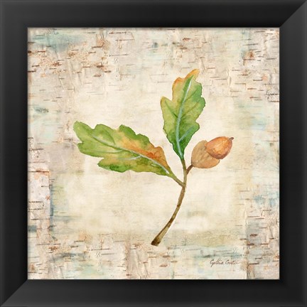 Framed Nature Walk Leaves II Print