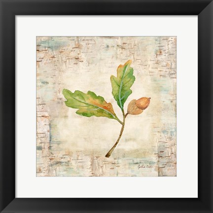 Framed Nature Walk Leaves II Print