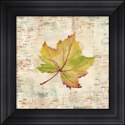 Framed Nature Walk Leaves III Print