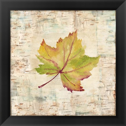 Framed Nature Walk Leaves III Print