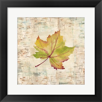 Framed Nature Walk Leaves III Print