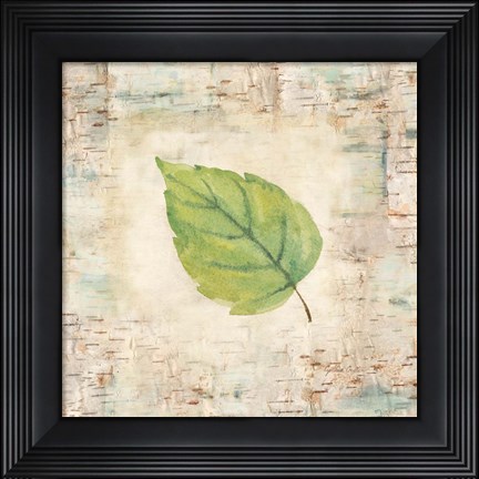 Framed Nature Walk Leaves IV Print