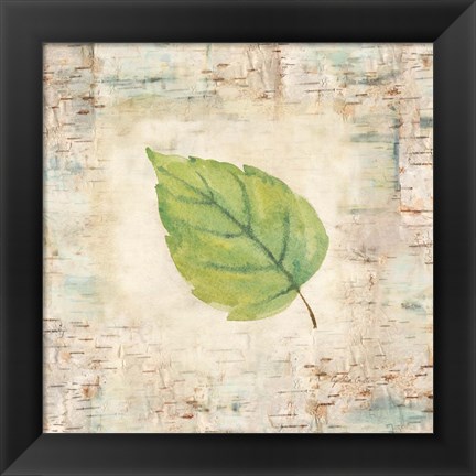 Framed Nature Walk Leaves IV Print