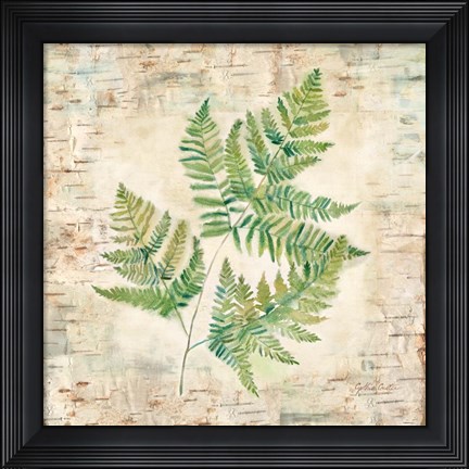 Framed Birch Bark Ferns I Print