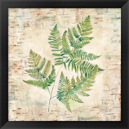 Framed Birch Bark Ferns I Print