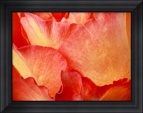 Framed Fire Print