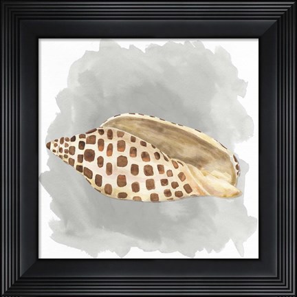 Framed Shells on Grey I Print