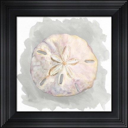Framed Shells on Grey IV Print