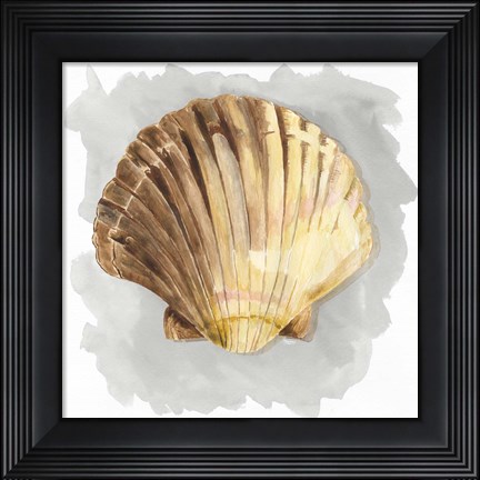 Framed Shells on Grey V Print
