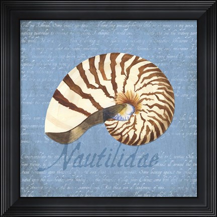 Framed Oceanum Shells Blue III Print