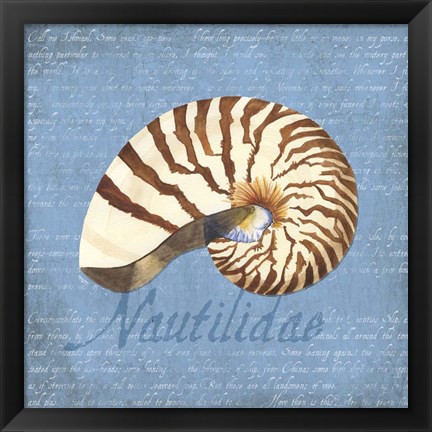 Framed Oceanum Shells Blue III Print