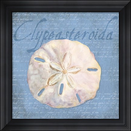 Framed Oceanum Shells Blue IV Print
