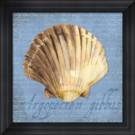 Framed Oceanum Shells Blue V Print