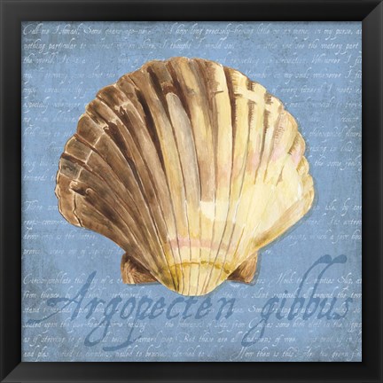 Framed Oceanum Shells Blue V Print