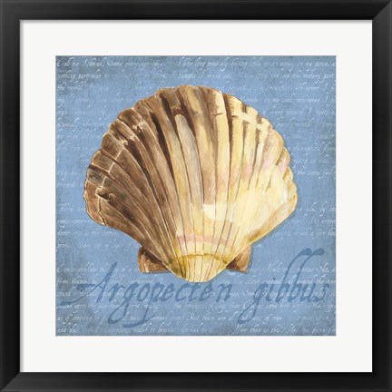 Framed Oceanum Shells Blue V Print