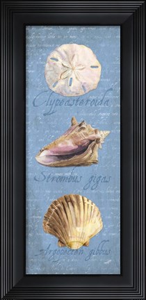 Framed Oceanum Shell Panel Blue I Print