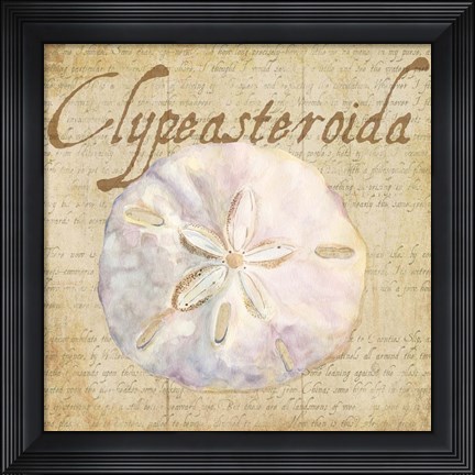Framed Oceanum Shells Beige IV Print