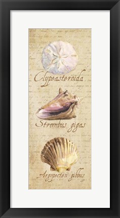 Framed Oceanum Shell Panel Beige I Print