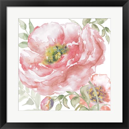 Framed Poppy Romance I Print