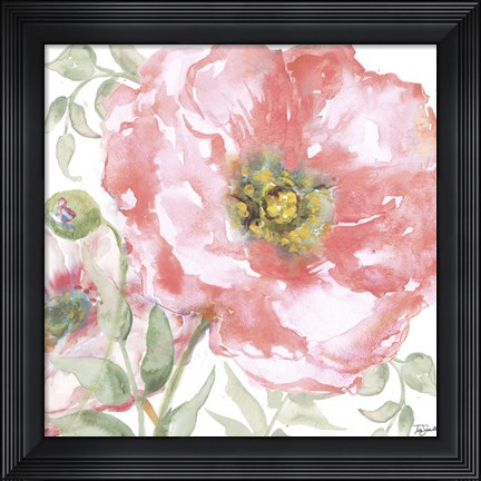 Framed Poppy Romance II Print
